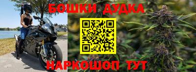 гидра Ливны